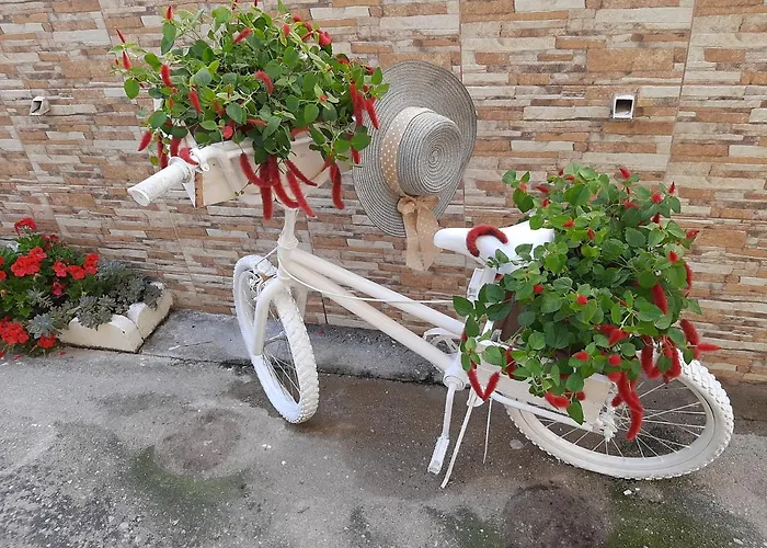 Lefteris * Città di Skiathos