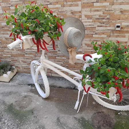 Lefteris * Skiathos by